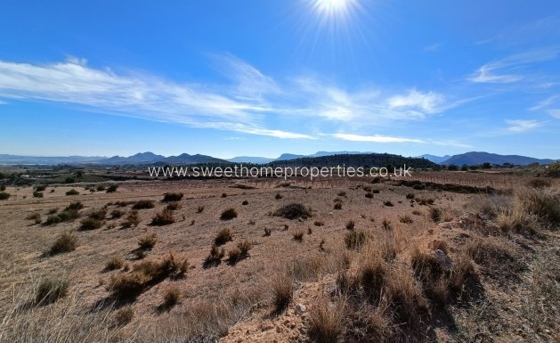 New Build - Country house - La Romana