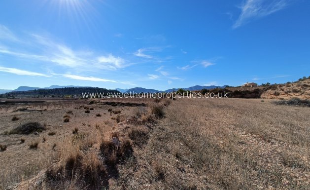 New Build - Country house - La Romana