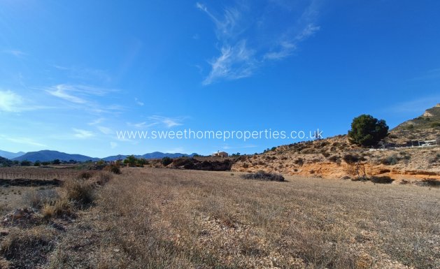 New Build - Country house - La Romana