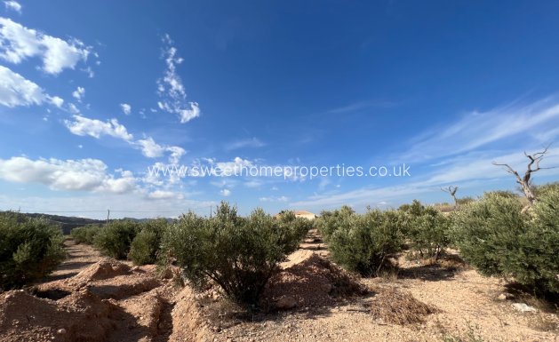 New Build - Country house - Macisvenda