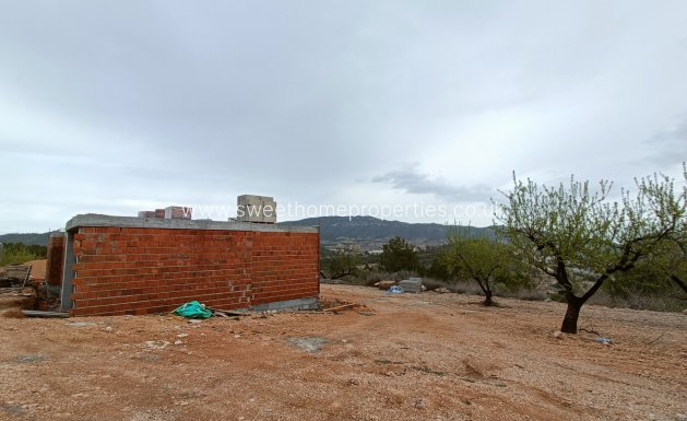 New Build - Villa - La Romana