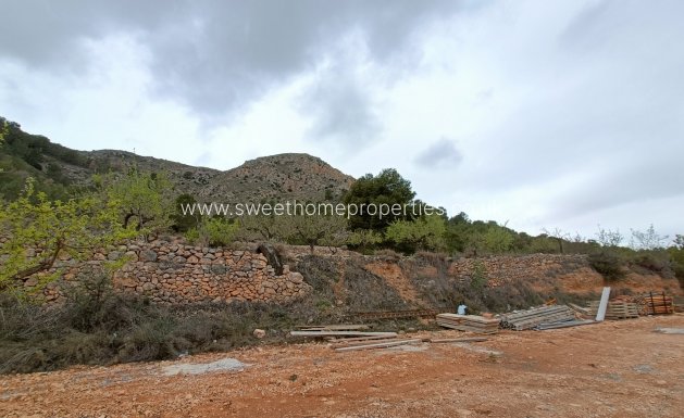 New Build - Villa - La Romana