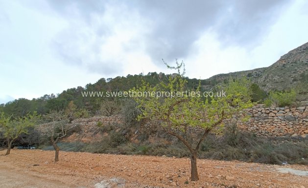 New Build - Villa - La Romana