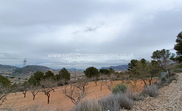 New Build - Villa - La Romana