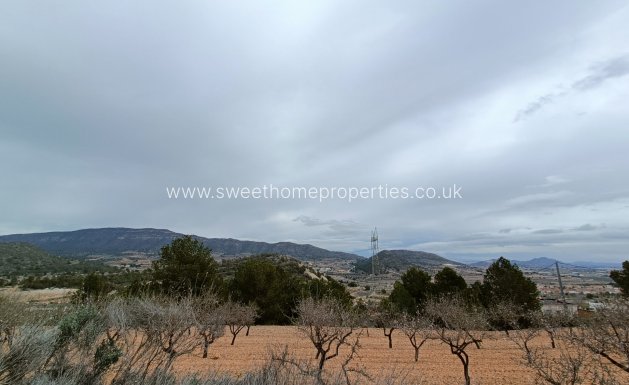 New Build - Villa - La Romana