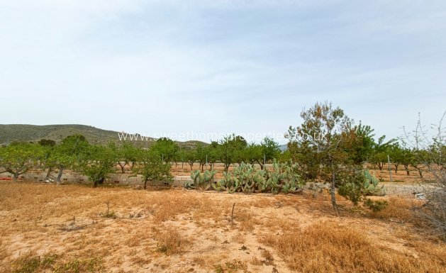 Resale - Country house - Hondon De Los Frailes