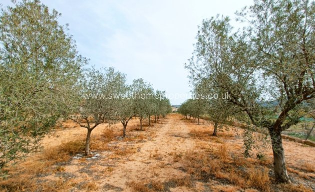 Resale - Country house - Hondon De Los Frailes