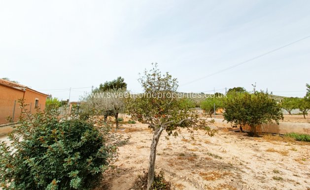 Resale - Country house - Hondon De Los Frailes