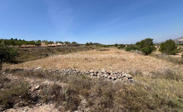 Resale - Plot - Hondon De Los Frailes - Barbarroja