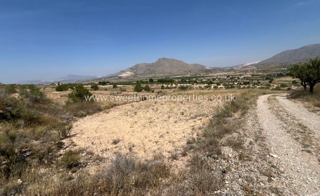 Resale - Plot - Hondon De Los Frailes - Barbarroja