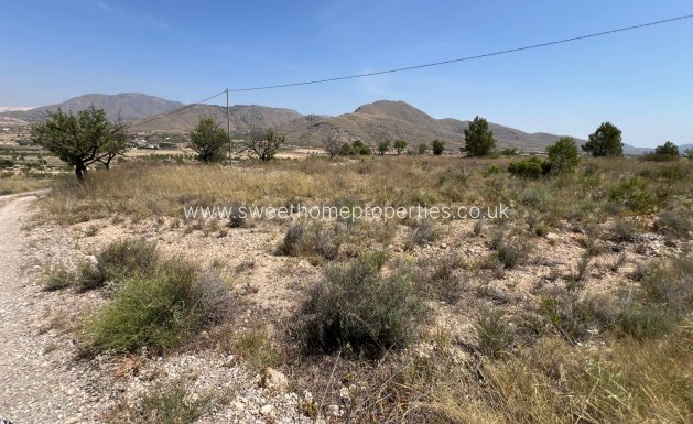 Resale - Plot - Hondon De Los Frailes - Barbarroja