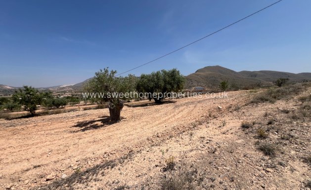 Resale - Plot - Hondon De Los Frailes - Barbarroja