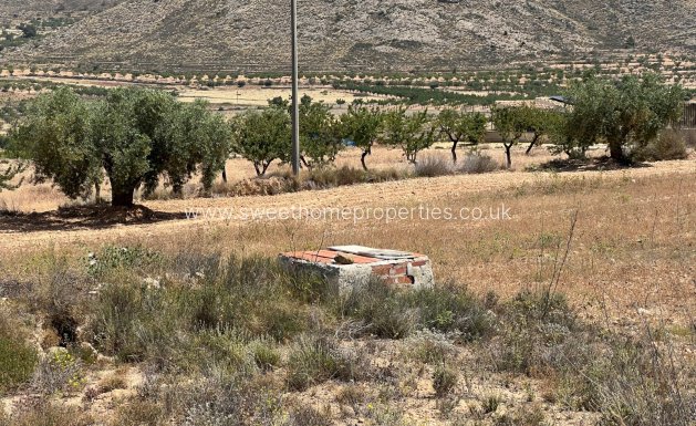 Resale - Plot - Hondon De Los Frailes - Barbarroja
