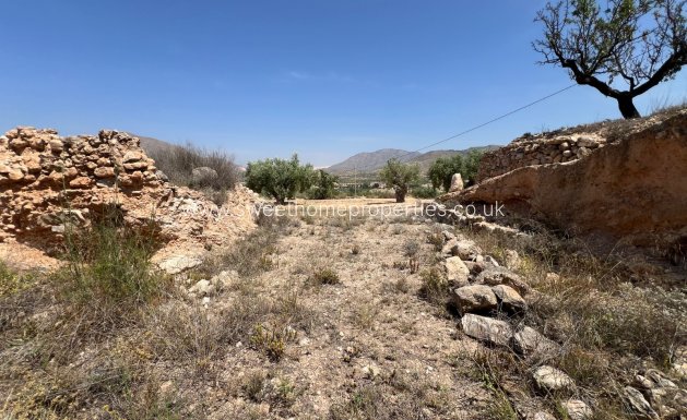 Resale - Plot - Hondon De Los Frailes - Barbarroja