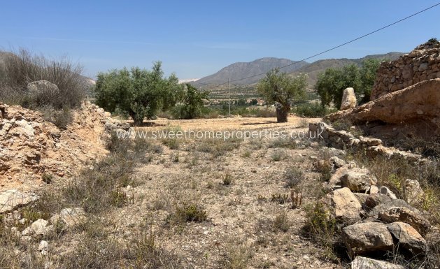 Resale - Plot - Hondon De Los Frailes - Barbarroja