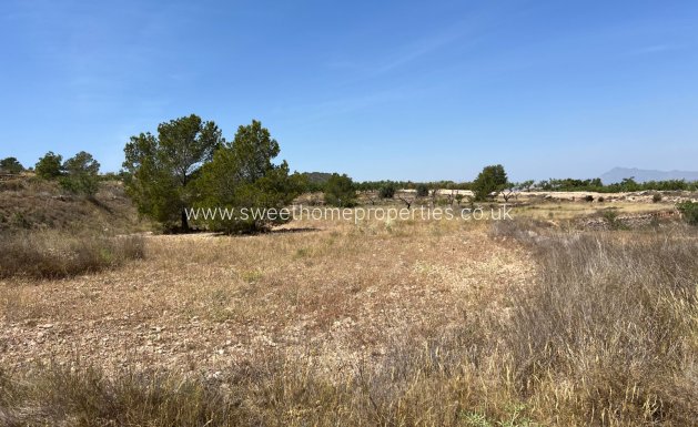 Resale - Plot - Hondon De Los Frailes - Barbarroja