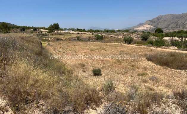 Resale - Plot - Hondon De Los Frailes - Barbarroja