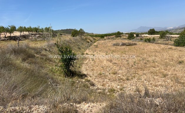 Resale - Plot - Hondon De Los Frailes - Barbarroja