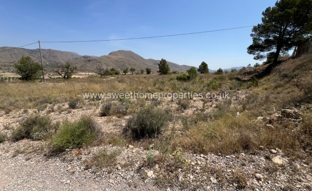 Resale - Plot - Hondon De Los Frailes - Barbarroja