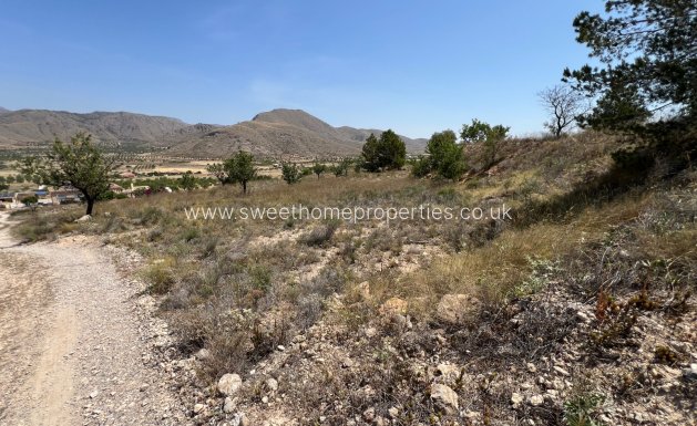 Resale - Plot - Hondon De Los Frailes - Barbarroja