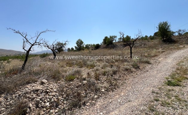 Resale - Plot - Hondon De Los Frailes - Barbarroja