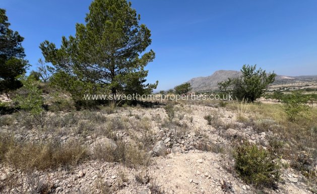 Resale - Plot - Hondon De Los Frailes - Barbarroja