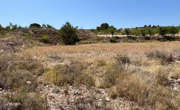 Resale - Plot - Hondon De Los Frailes - Barbarroja