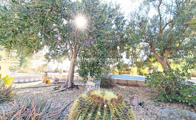 Reventa - Chalet - La Romana