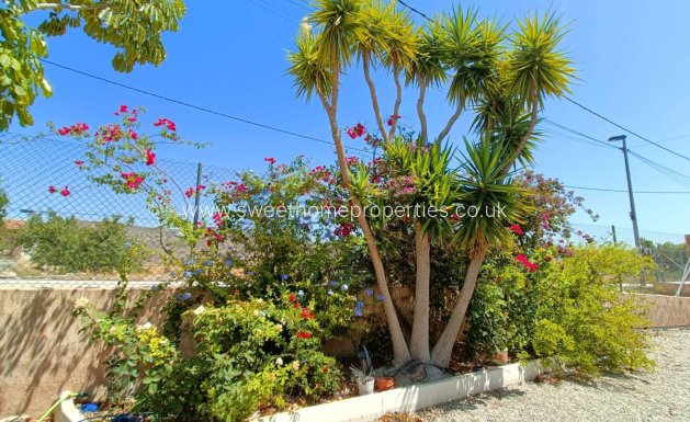 Resale - Villa - Abanilla - ABANILLA