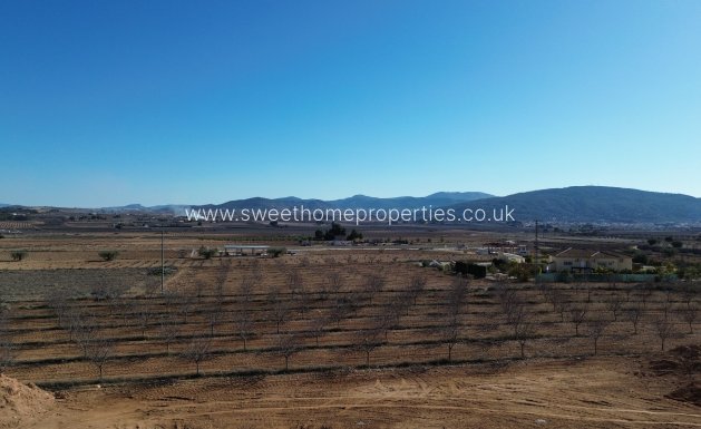 New Build - Country house - Pinoso