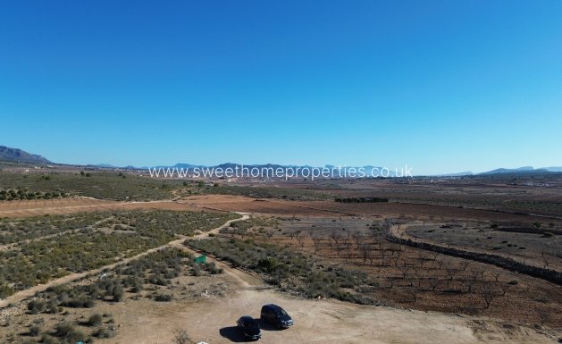 New Build - Country house - Pinoso