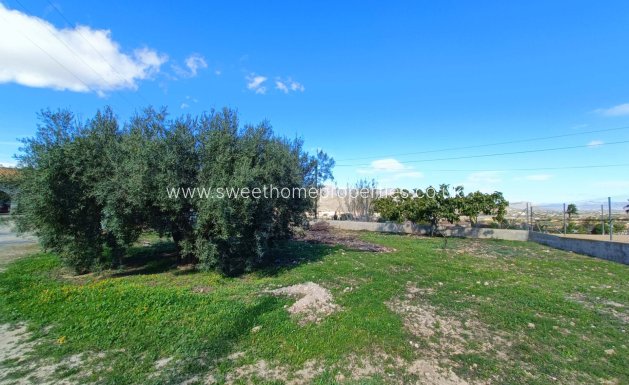 Resale - Country house - Hondon De Los Frailes