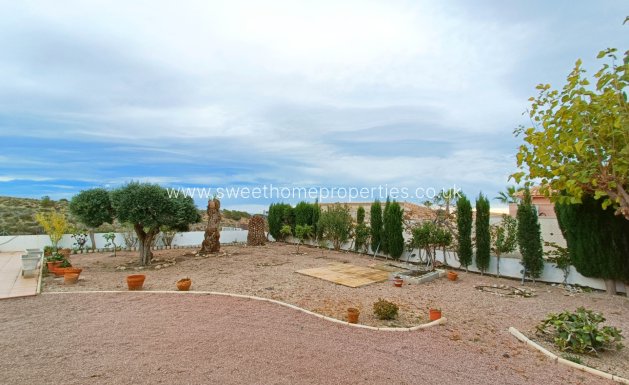 Herverkoop - Villa - Albatera - ALBATERA