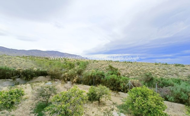 Herverkoop - Villa - Albatera - ALBATERA