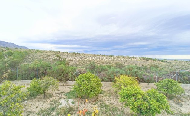 Herverkoop - Villa - Albatera - ALBATERA