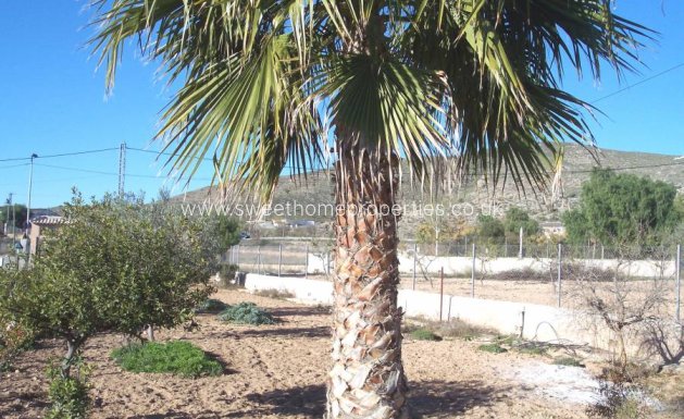 Resale - Country house - Hondon De Los Frailes