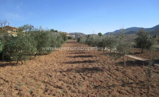 Resale - Country house - Hondon De Los Frailes