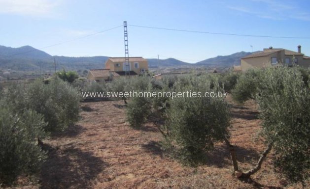 Resale - Country house - Hondon De Los Frailes