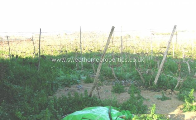 Resale - Country house - Aspe