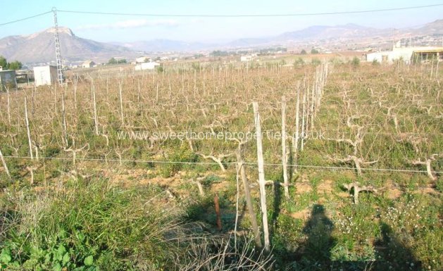 Resale - Country house - Aspe