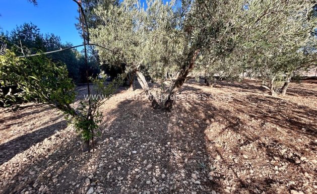 Resale - Country house - Hondon De Las Nieves - SOLANA