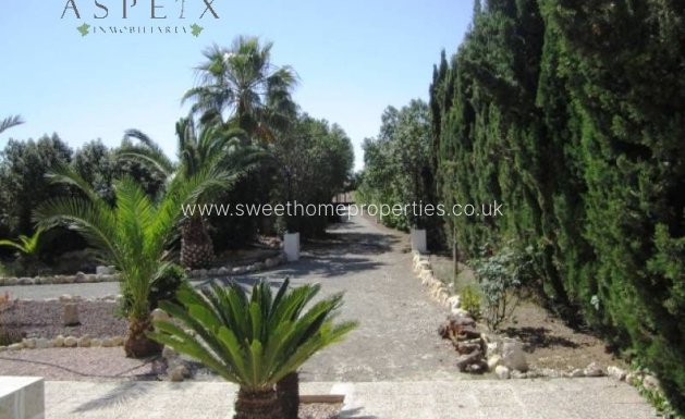 Resale - Country house - Aspe