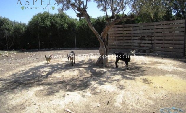 Resale - Country house - Aspe