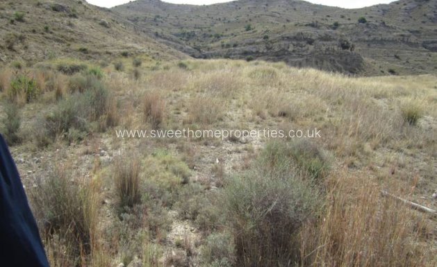 Resale - Plot - Aspe - Tres Hermanas