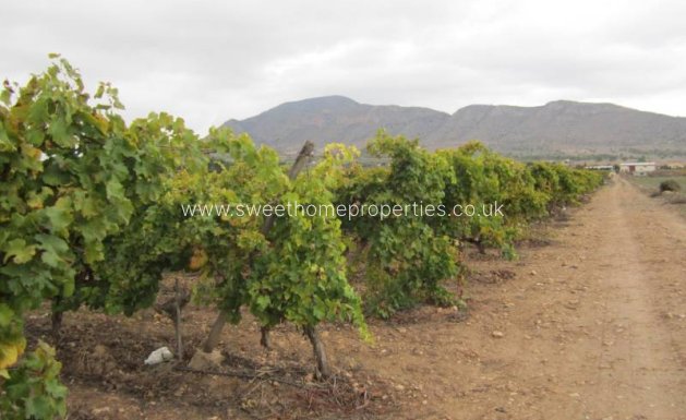 Resale - Plot - Hondon De Las Nieves - SIMOLA