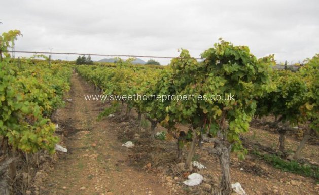 Resale - Plot - Hondon De Las Nieves - SIMOLA