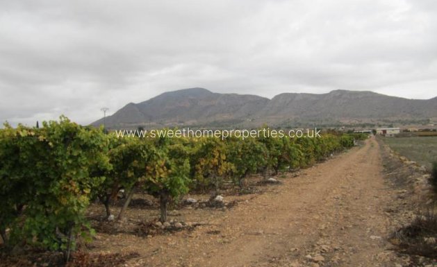 Resale - Plot - Hondon De Las Nieves - SIMOLA