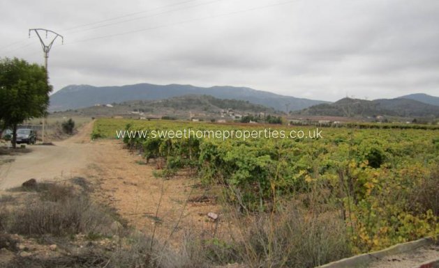 Resale - Plot - Hondon De Las Nieves - SIMOLA