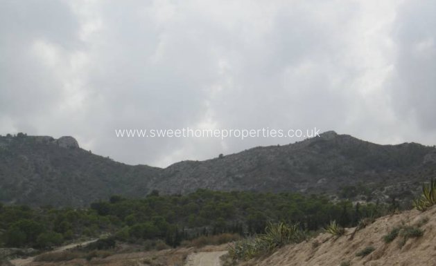 Resale - Plot - Novelda - HORNA