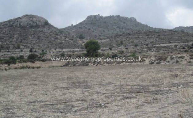 Resale - Plot - Novelda - HORNA